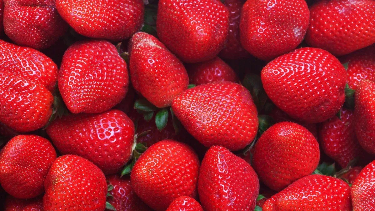 Despedido por comer frutas en el trabajo Despedido por comer frutas en el trabajo