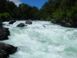 Organizaciones alertan sobre la crisis sanitaria por aguas servidas en el río Trancura.
