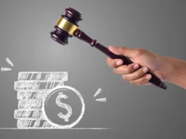 Participa en el remate de terrenos en la Región de Los Lagos con Tía Rica.