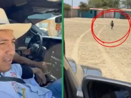 Un niño asustado escapa mientras un tiktoker lo persigue en su camioneta.