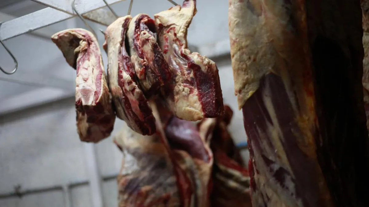 Denuncian faenamiento clandestino de corderos en boda gitana en Puyehue. Denuncian faenamiento clandestino de corderos en boda gitana en Puyehue.