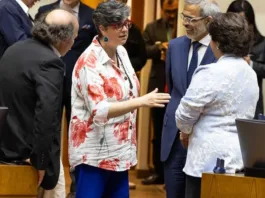 Proyecto de seguridad municipal avanza: test de drogas y grabaciones sin sonido.