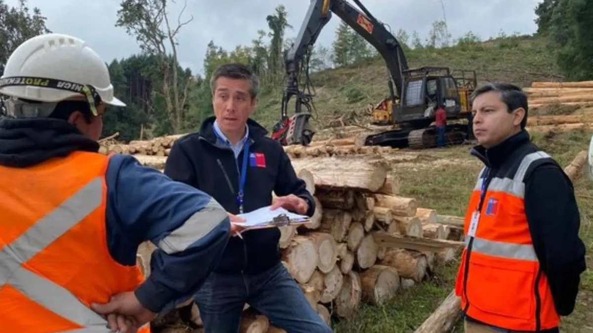 Impugnación ante el TC de norma que limita recursos en reincorporaciones laborales. Impugnación ante el TC de norma que limita recursos en reincorporaciones laborales.