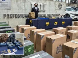 Bolsos y joyas de lujo: el escándalo de un funcionario de Aduanas por contrabando.