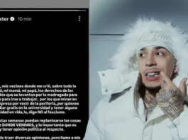 Young Cister se retira de la política tras enfrentar intensas críticas en redes.