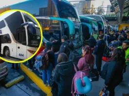 Nueva empresa de buses conecta Santiago con el sur: destinos y precios al detalle.