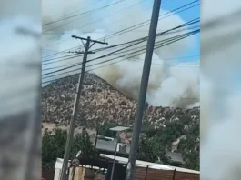 Alerta Roja en Catemu: evacuan San Carlos Alto por incendio forestal.