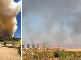 Alerta Roja en Maule: incendio forestal amenaza zonas habitadas.