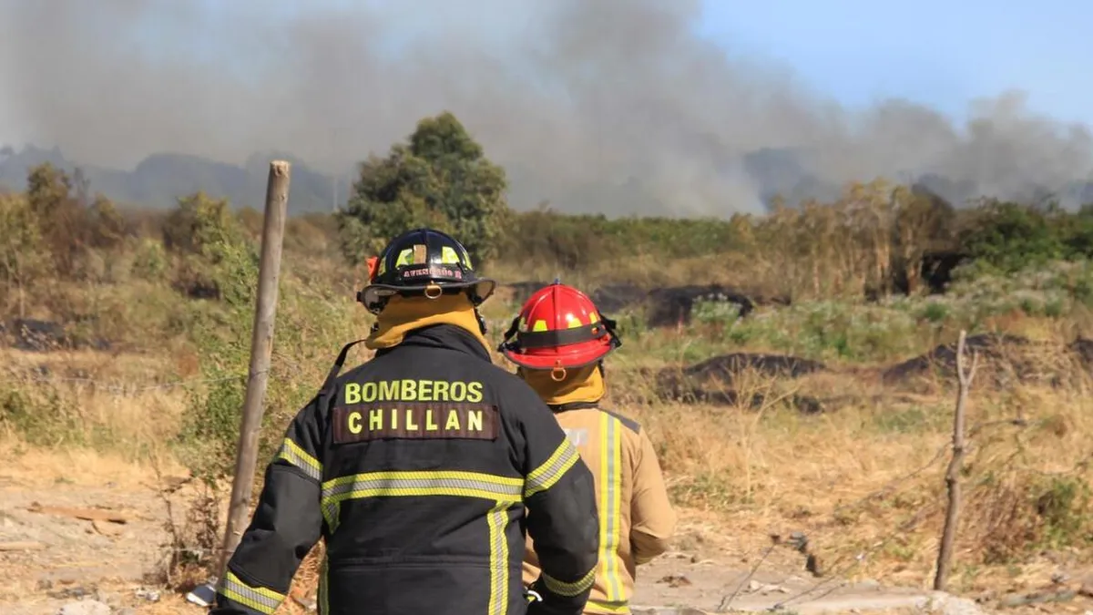 Incendio forestal en Chillán tras choque; áreas cercanas sin electricidad.