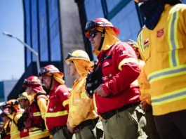 Conaf advierte sobre incendios: cinco activos y Maule en alto riesgo.