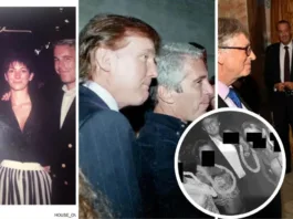 Nuevas imágenes revelan a Epstein con Trump