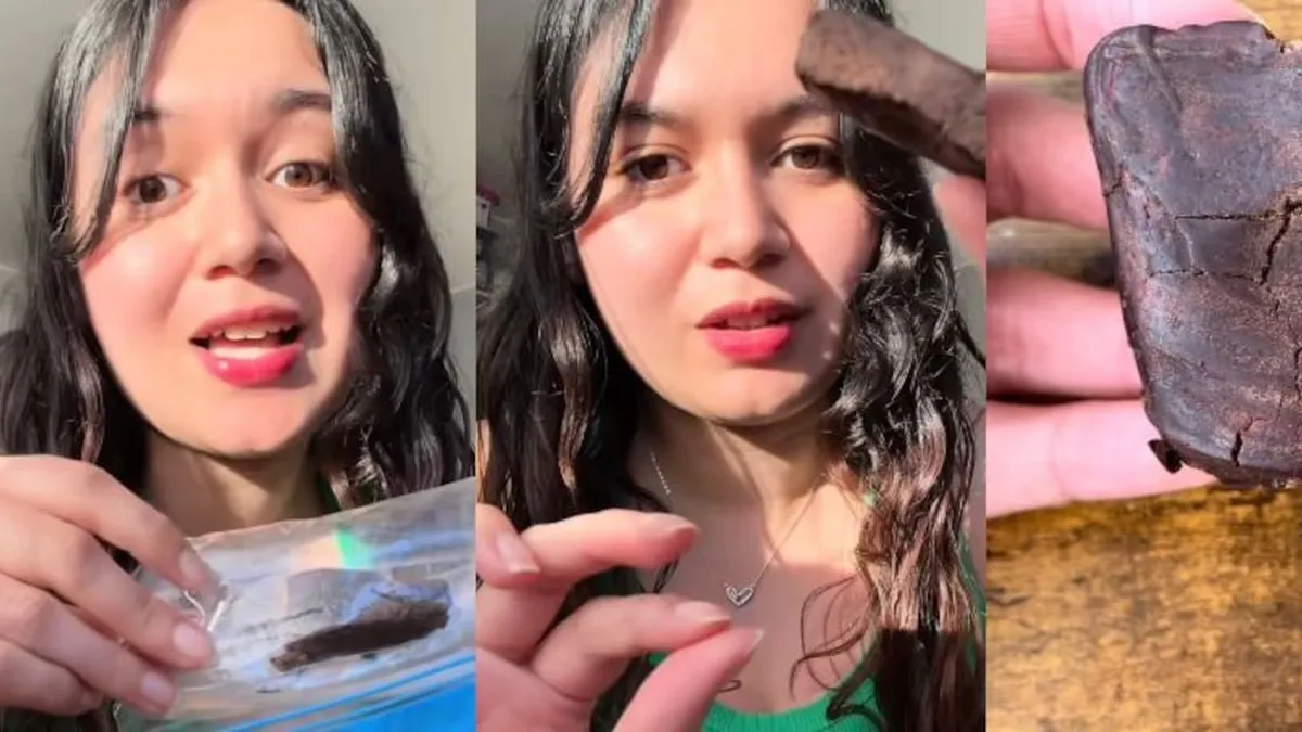 Joven chileno prueba barra de proteínas de insectos y se vuelve viral en TikTok.