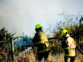 Cancelan Alerta Roja en Litueche tras evacuar a más de 800 personas por incendio.