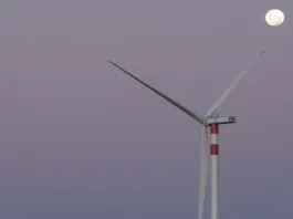 Colbún recibe luz verde para el parque eólico Junquillos en Biobío