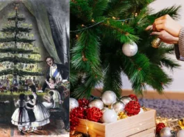 Descubre la historia y significado de decorar árboles en Navidad.