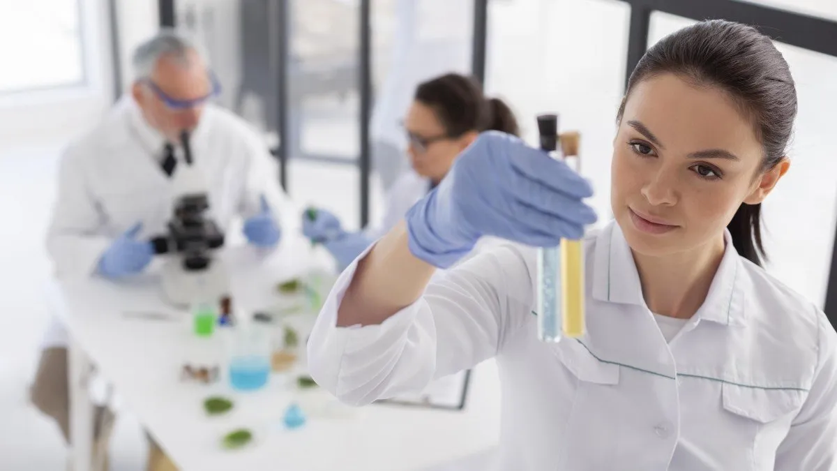 Descubre las 10 carreras más demandadas en Chile y elige tu futuro profesional.