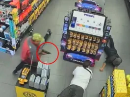 Asalto violento en San Bernardo deja daños en local comercial y conmoción en la zona.