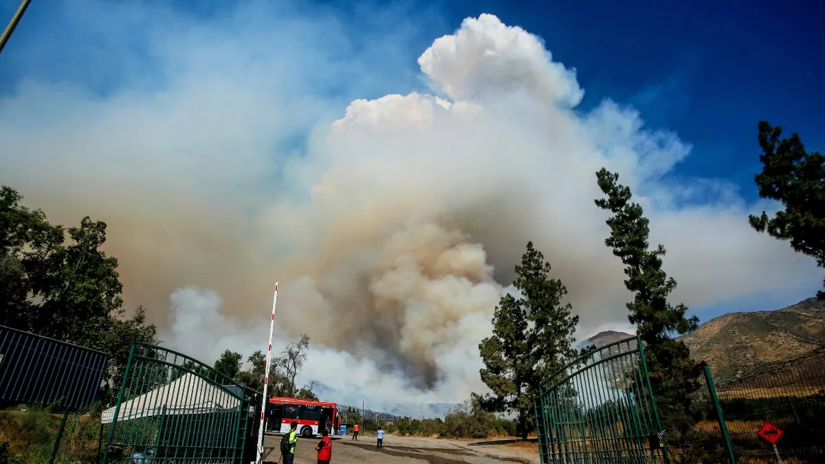 Incendio en San Carlos de Apoquindo arrasa 470 hectáreas