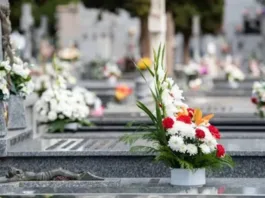 Un vendedor de flores es acusado de violación en un cementerio de Talcahuano.