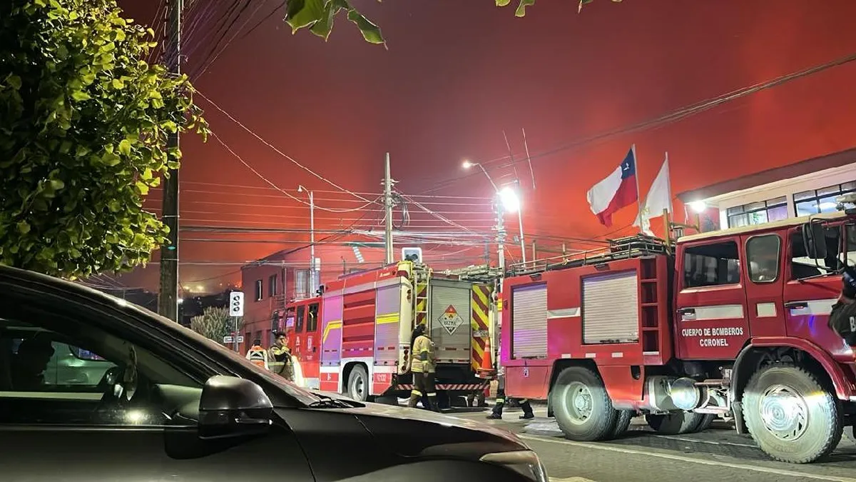 Conaf combate 24 incendios en Ñuble y Bío Bío