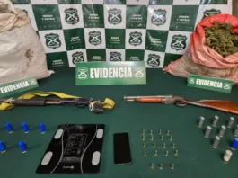 Carabineros desarticulan cultivo de cannabis en Nogales: 22 kg y 8.475 plantas.