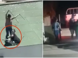 El alcalde Carlos Morales condena el maltrato animal en Puchuncaví.