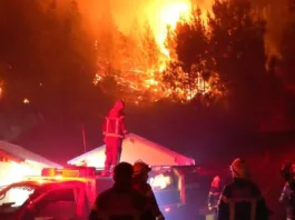 Incendios en Chubut amenazan frontera con Chile; brigadistas luchan contra las llamas.