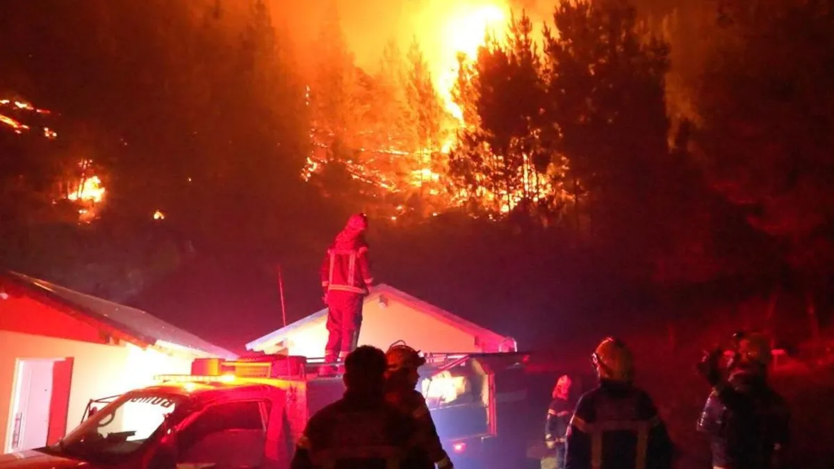 Incendios en Chubut amenazan frontera con Chile; brigadistas luchan contra las llamas.