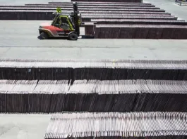 Chile prevé alcanzar 6