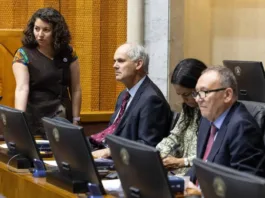 El Senado aprueba el informe sobre el derecho al cuidado