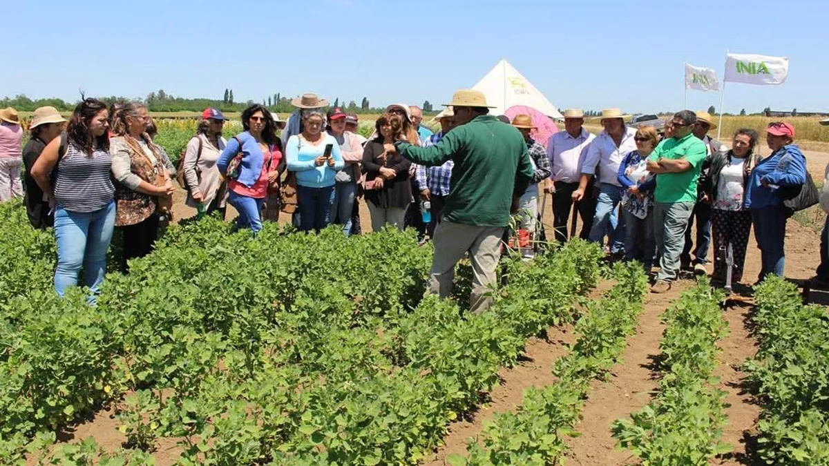 La Corte de La Serena defiende el derecho a participar en elecciones comunitarias.