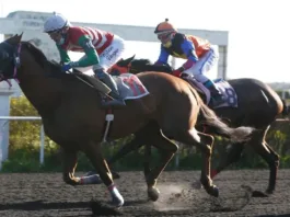 La Corte de Valparaíso valida sanciones antidopaje en la hípica nacional.