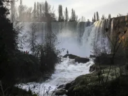 David Muñoz aclara la situación de incendios en Bío Bío y llama a la precaución.