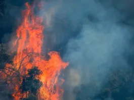 Incendios en La Araucanía: 22 focos activos y recursos en peligro de agotarse.