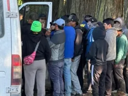 15 extranjeros en Osorno laboraban sin permisos; se denunciará a contratistas.