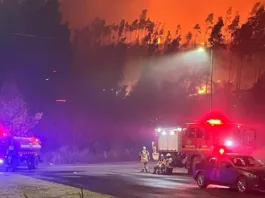 Incendio en Bío Bío arrasa 5 mil hectáreas; Conaf advierte de una catástrofe inminente.