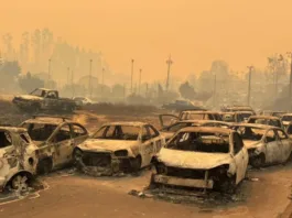 Gobierno defiende su respuesta ante incendios en Ñuble y Biobío