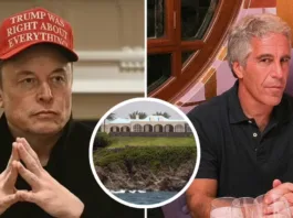 Archivos de Epstein revelan correos con Musk