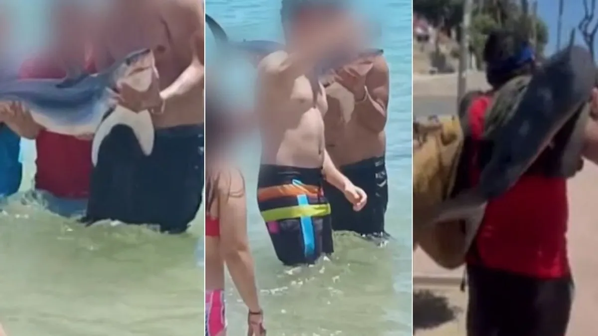 Indignación por veraneantes que posaron con un tiburón en El Quisco.