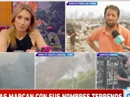 Punta de Parra: 80% de casas destruidas