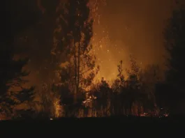 René Saffirio pide investigar intereses económicos tras incendios en La Araucanía.