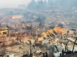 Alcalde de Penco lamenta 14 muertes por incendios