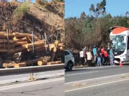 Accidente en Ruta del Itata: bus y camión chocan