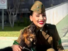 Trágico choque en Santiago: carabinera fallecida y conductor se da a la fuga.