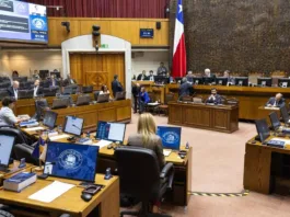 Debate en el Senado sobre reclusión domiciliaria para enfermos y mayores.
