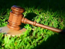 Crillón S.A. multada con $248 millones por incumplimientos ambientales en Parque Cousiño Macul.