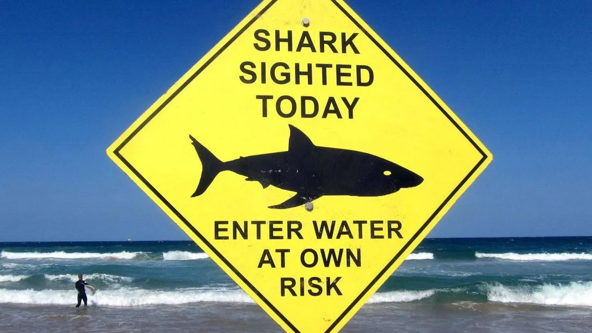 Alerta en Sídney: tres ataques de tiburón en un día generan preocupación entre veraneantes.