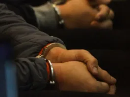 Cuatro chilenos arrestados en Austria por robo de mansiones en Europa.