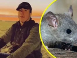 Confirman primer caso de Hantavirus en 2026 tras muerte de joven en Biobío.