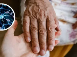 Una proteína del cáncer podría descomponer placas del Alzheimer